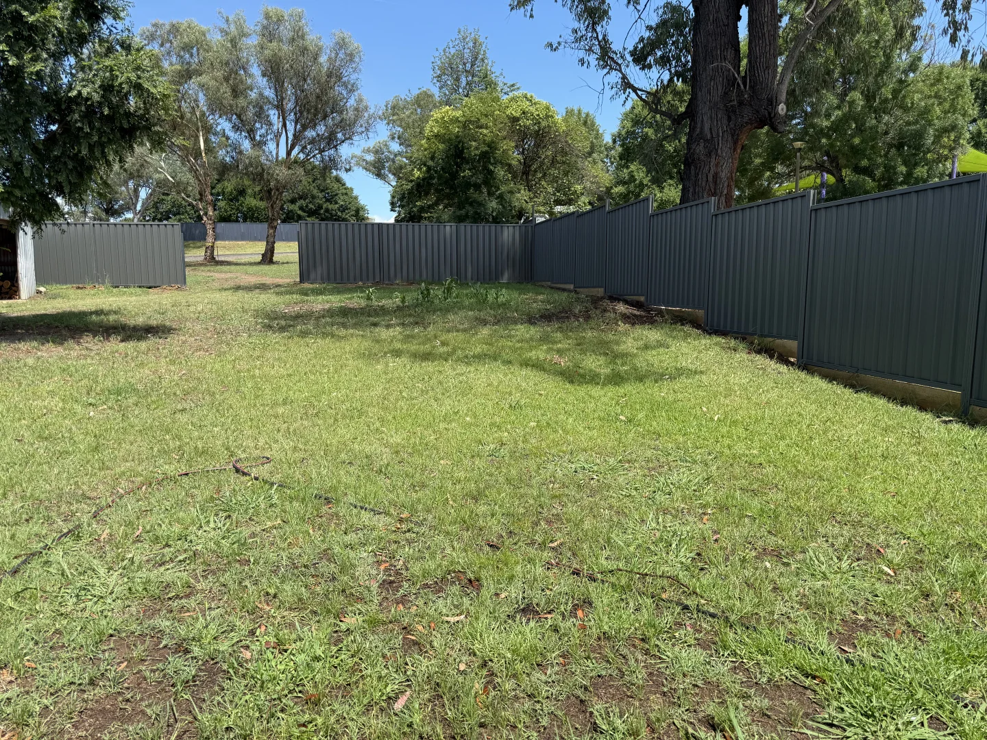 Additional image 16 of 139 Queen Street, Barraba NSW 2347