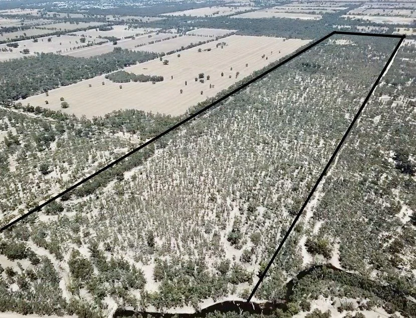 Lot 53 Old Deniliquin Road, Moama NSW 2731