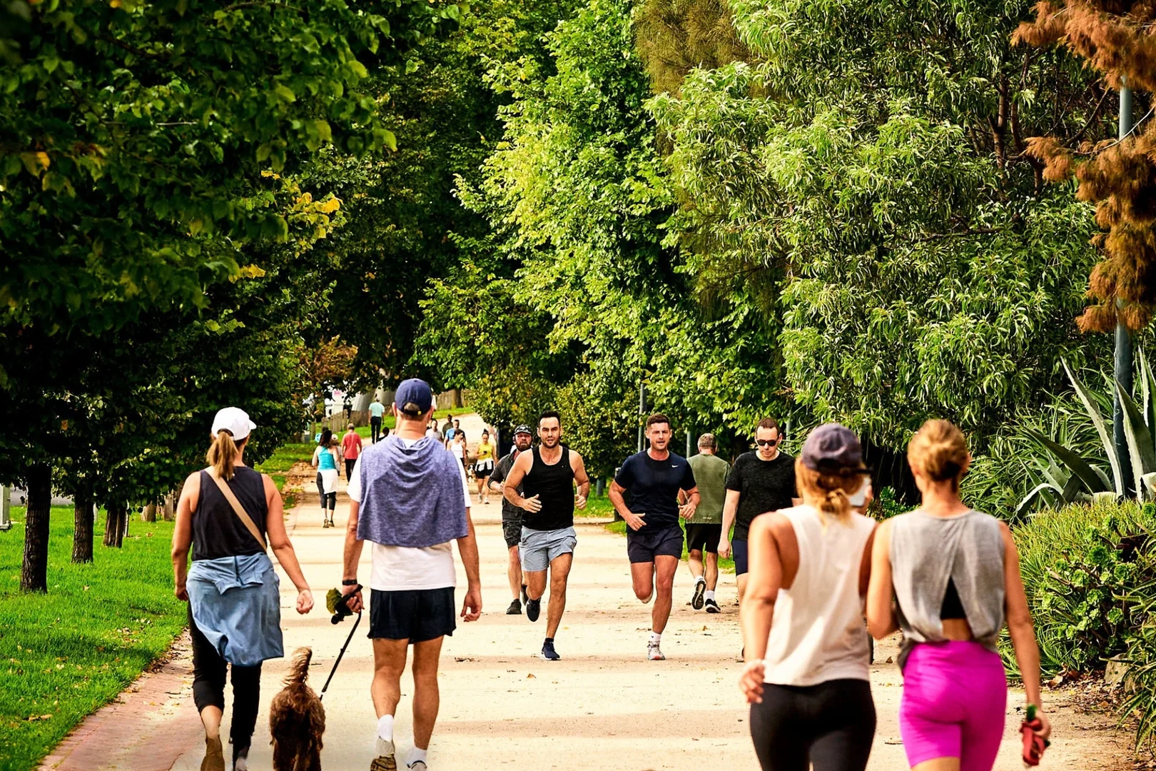 Additional image 12 of 284 Punt Road, South Yarra VIC 3141