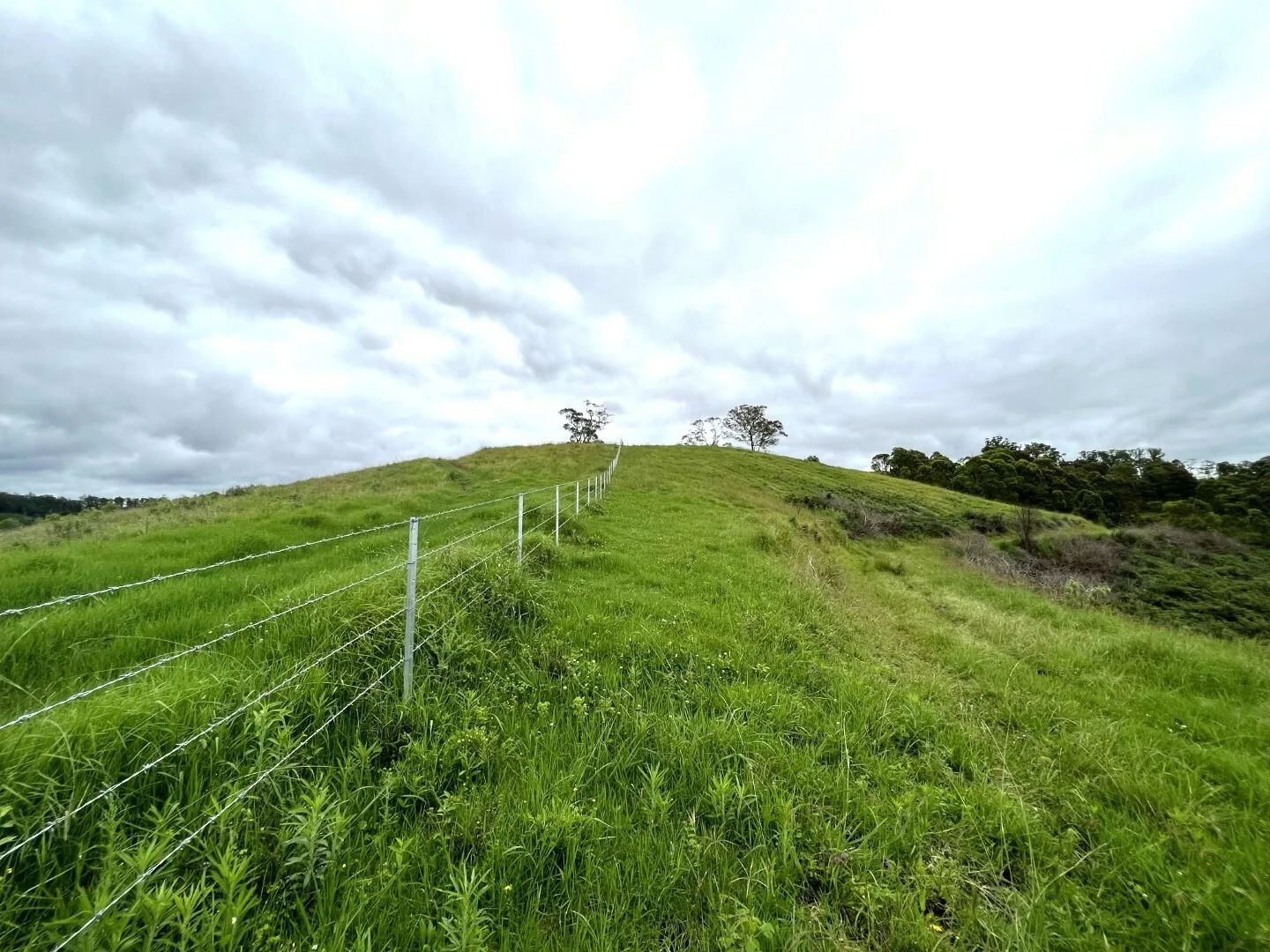 Additional image 38 of 59 Wyndham Road, Wyneden NSW 2474