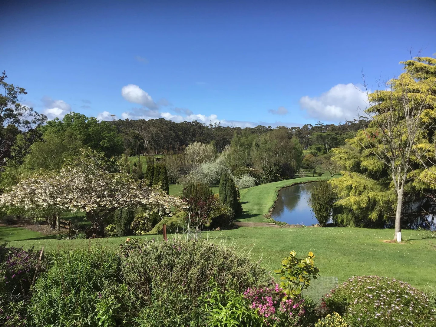 Additional image 36 of 99 King Street, Smithton TAS 7330