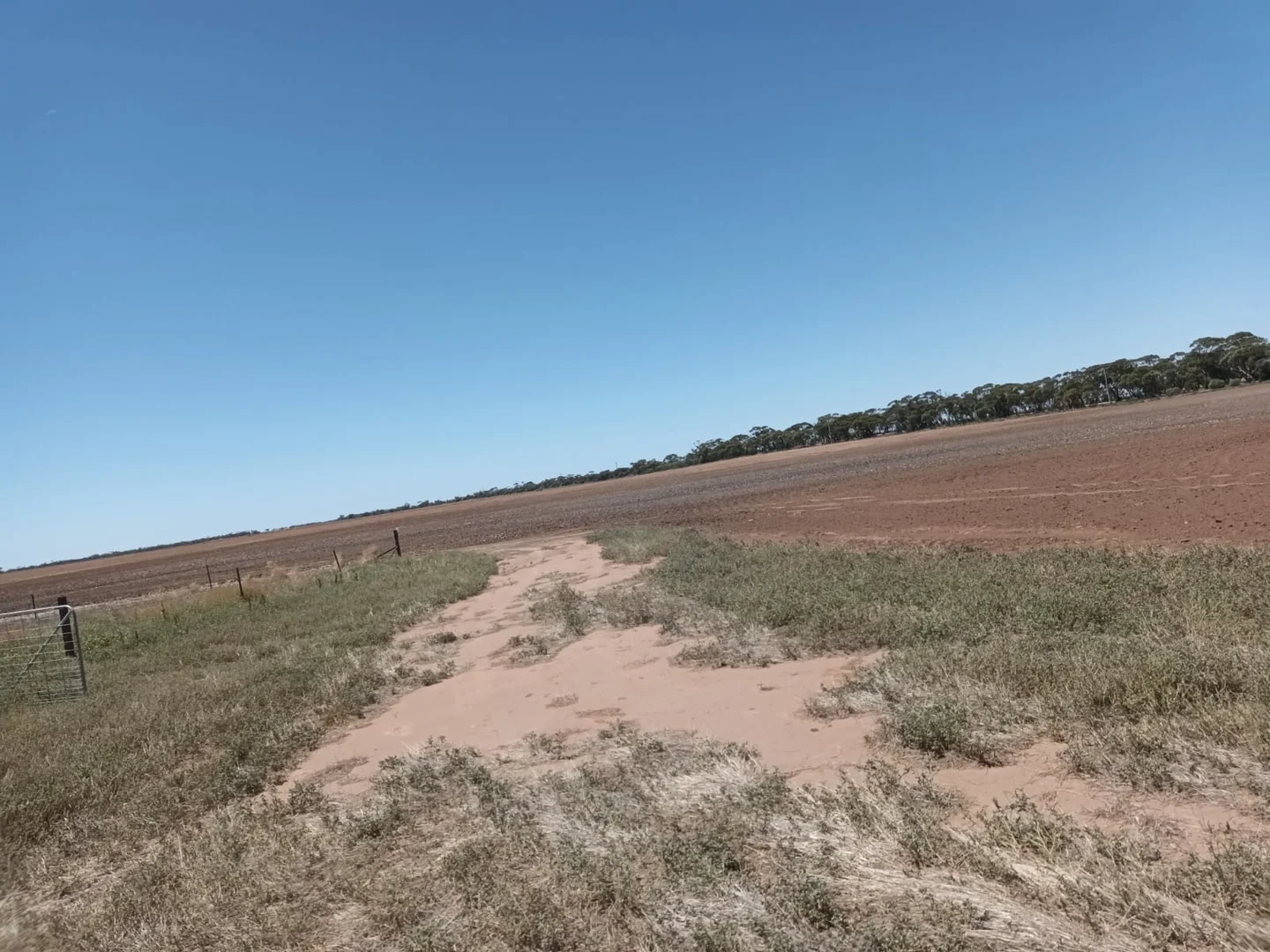 Additional image 5 of Swan Hill VIC 3585