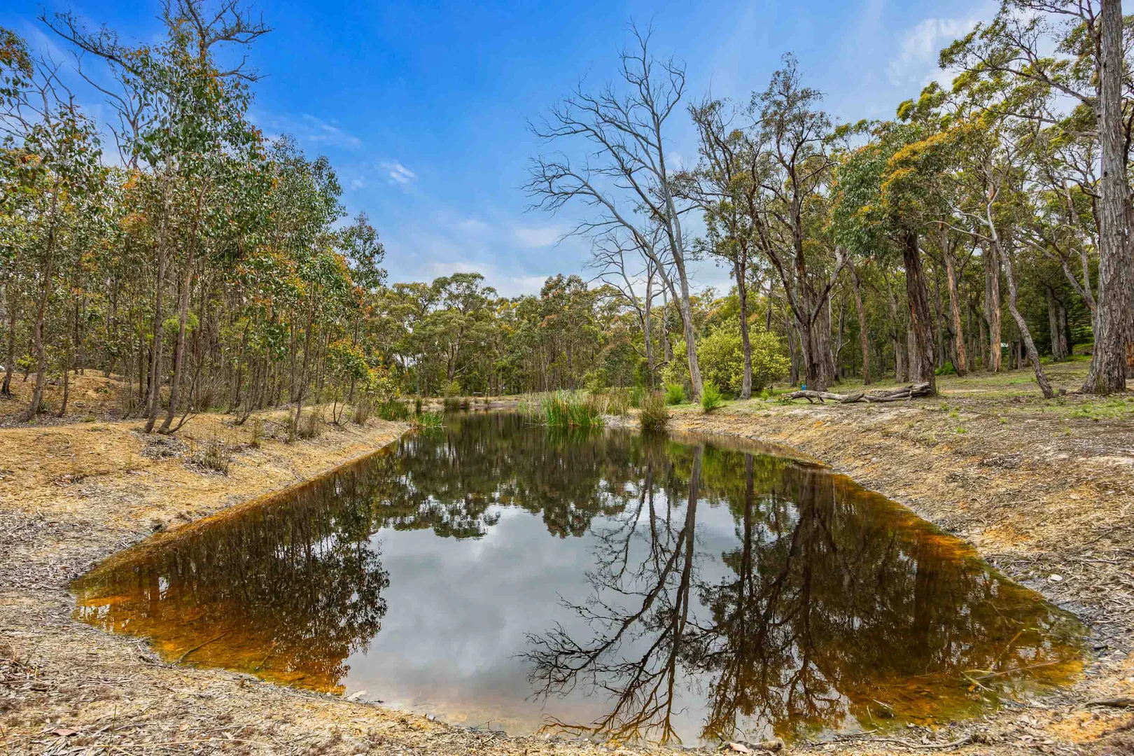 Additional image 26 of 310 Sebastopol-Smythesdale Road, Ross Creek VIC 3351