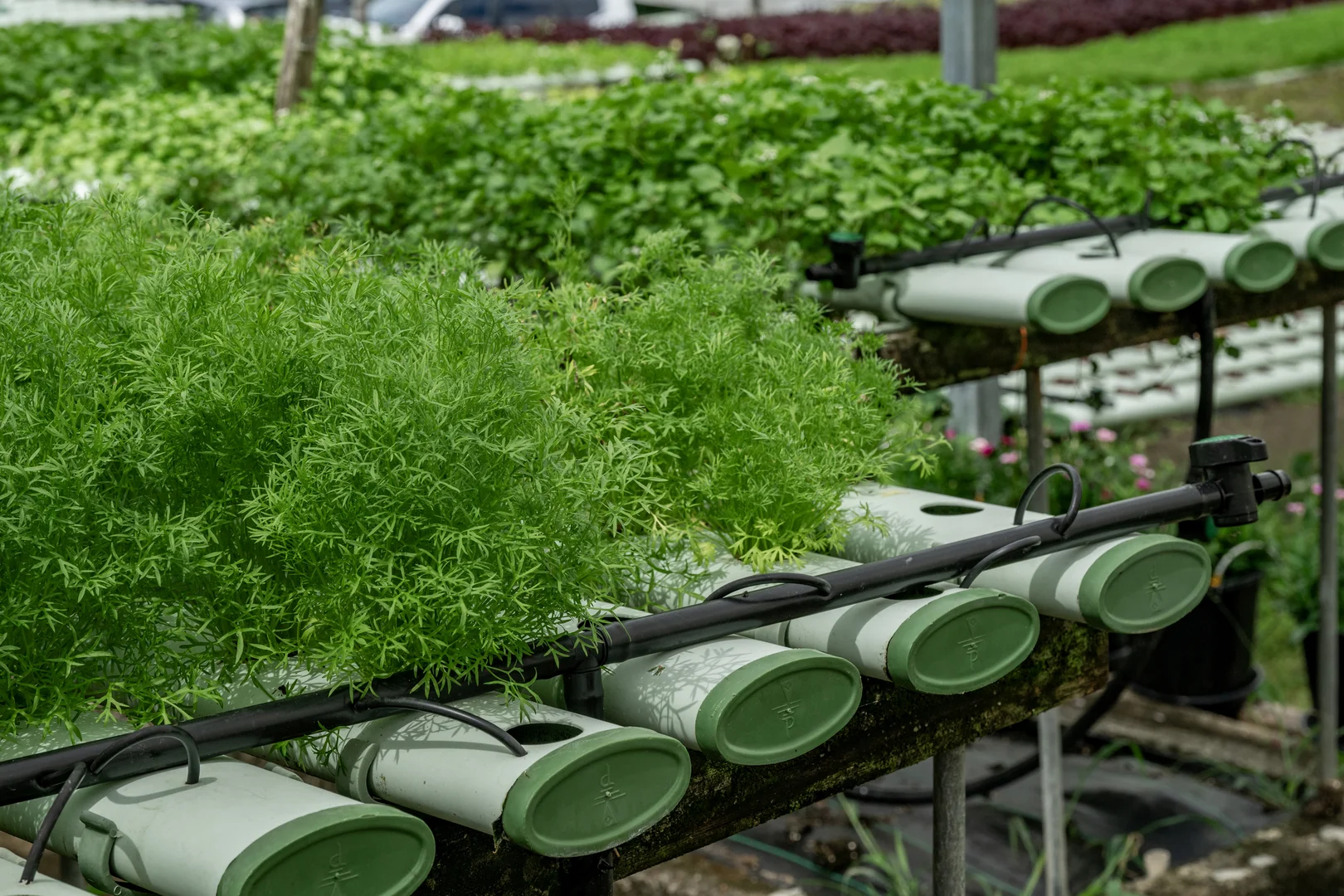 Additional image 30 of 44 Glen Nathan Court, Mount Nathan QLD 4211