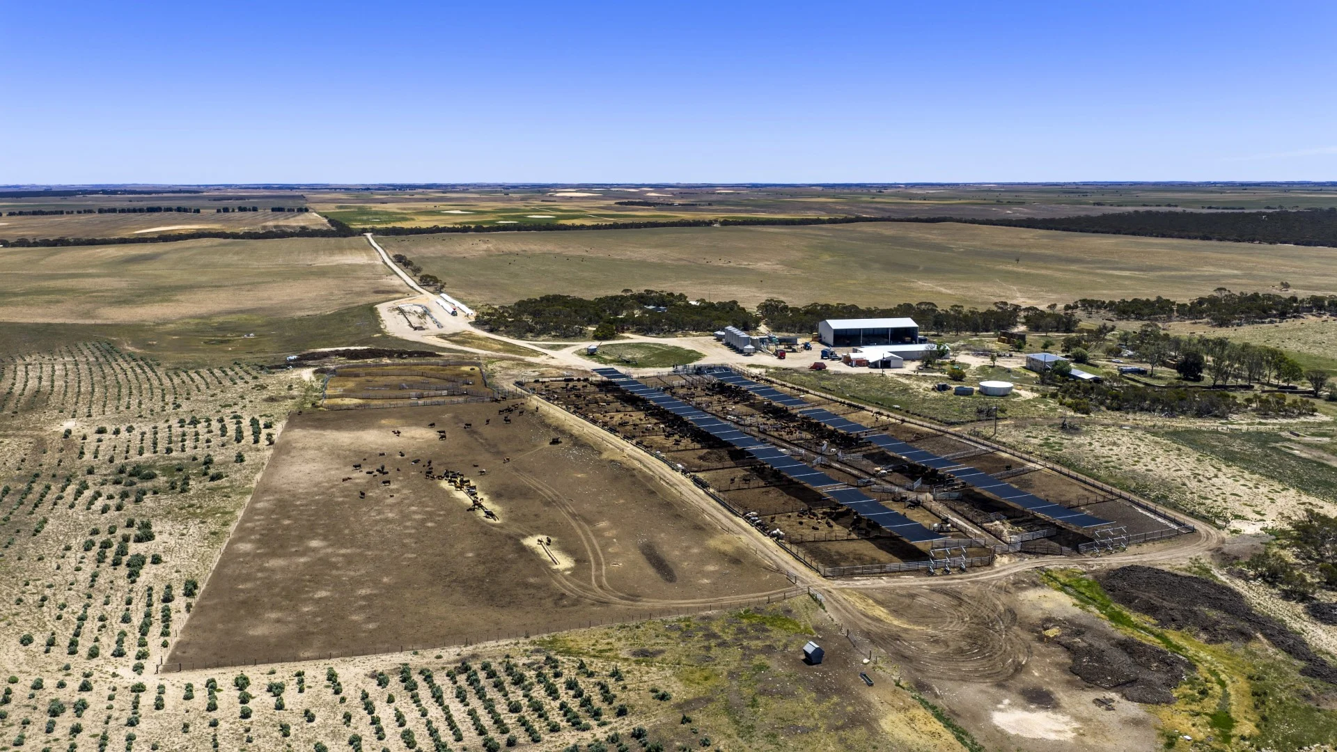 Additional image 20 of 1156 Parrakie North Road, Lameroo SA 5302