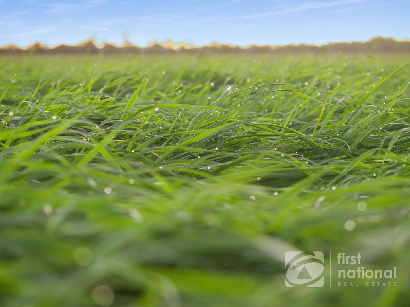 Additional image 20 of 149 Smiths Crossing Road, Bucca QLD 4670