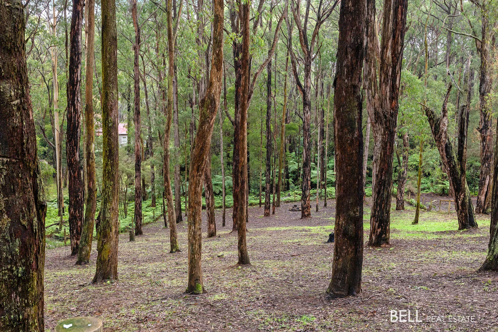 Additional image 12 of 15 Lyrebird Avenue, East Warburton VIC 3799