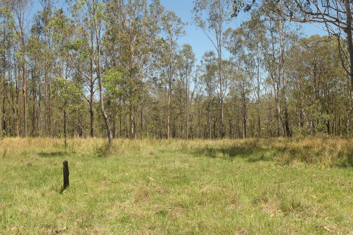 Additional image 10 of 4 Kimbin Pikapene Road, Tabulam NSW 2469