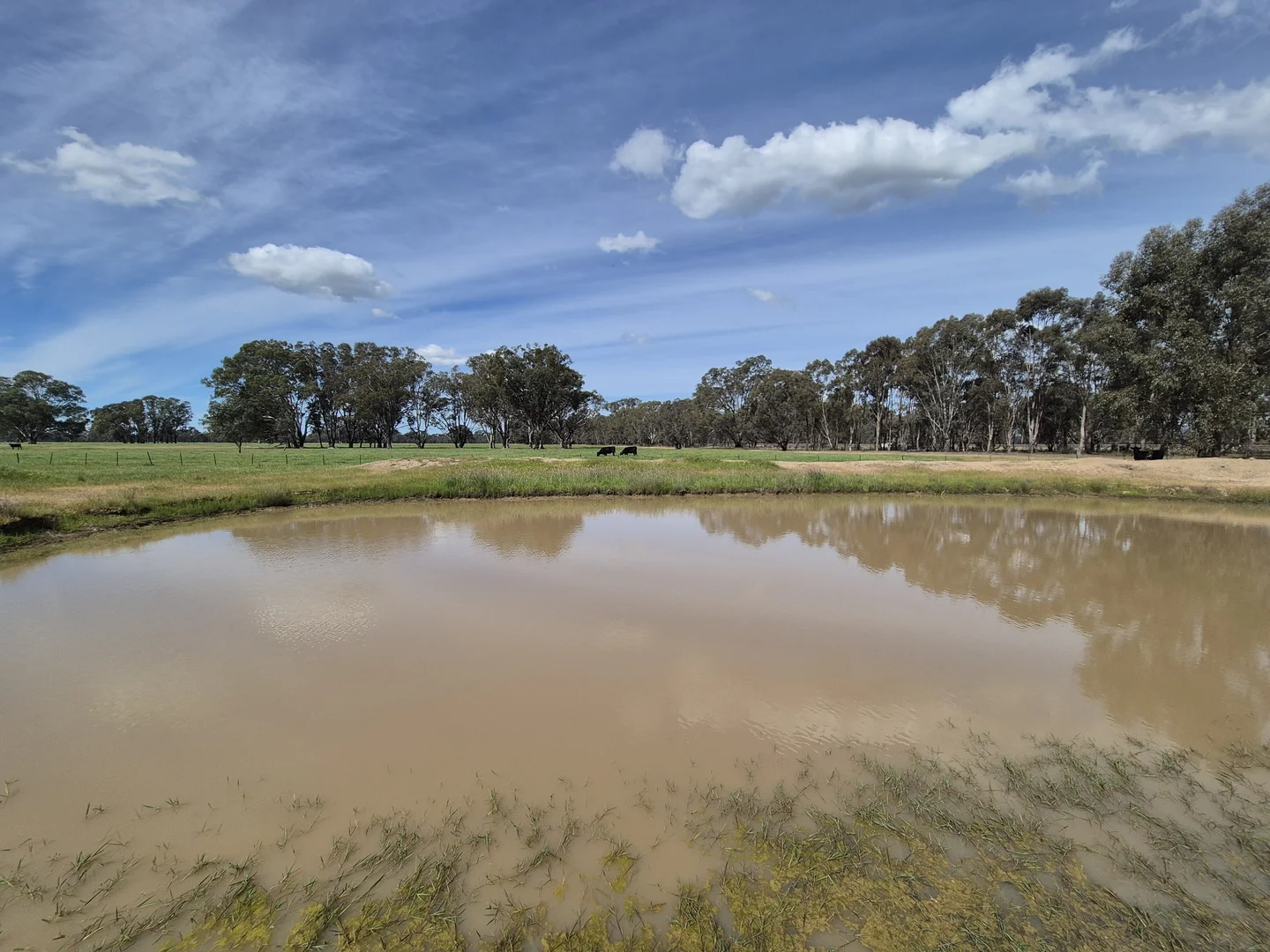 Additional image 31 of 50 Ramage Road, Violet Town VIC 3669