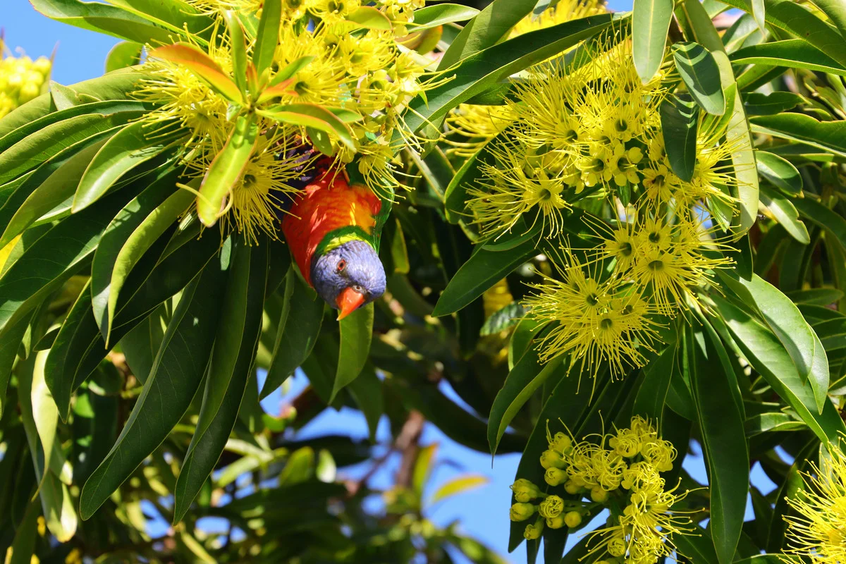 Additional image 4 of 12 Gympie Street, Tewantin QLD 4565