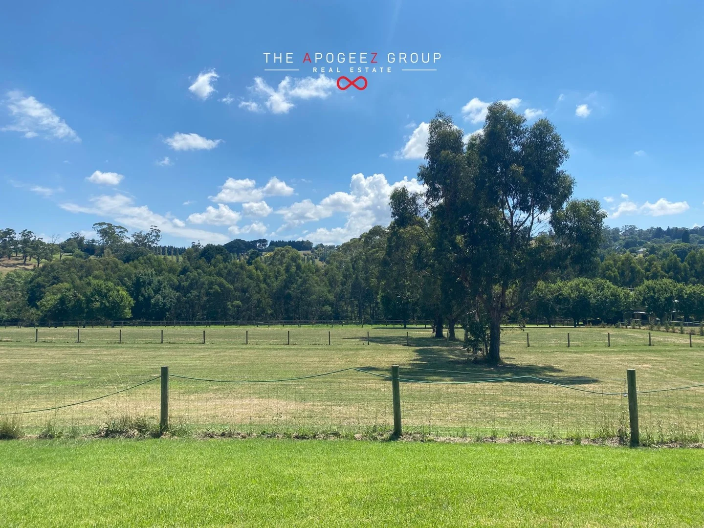 98 Beaumont Road, Berwick VIC 3806