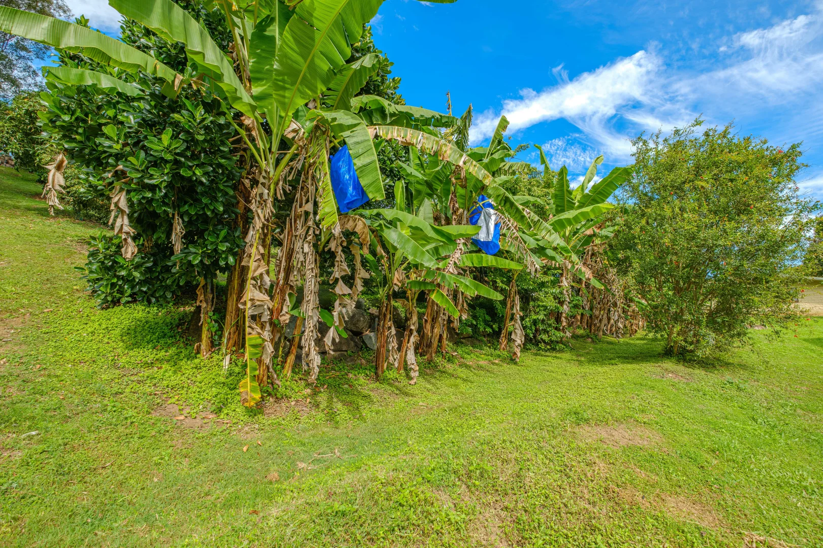 Additional image 30 of 1214 Tin Can Bay Rd, Ross Creek QLD 4570