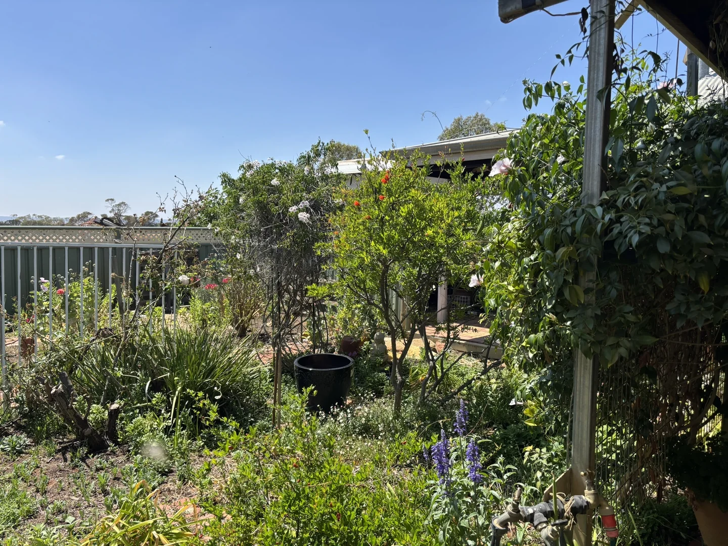 Additional image 18 of 9469 Koorda-Bullfinch Rd, Lake Brown WA 6479