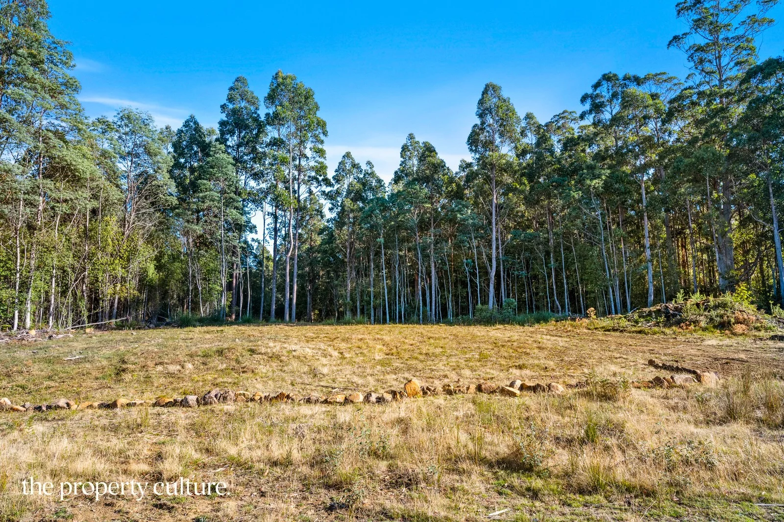 Additional image 5 of 2 Deering Street, Franklin TAS 7113