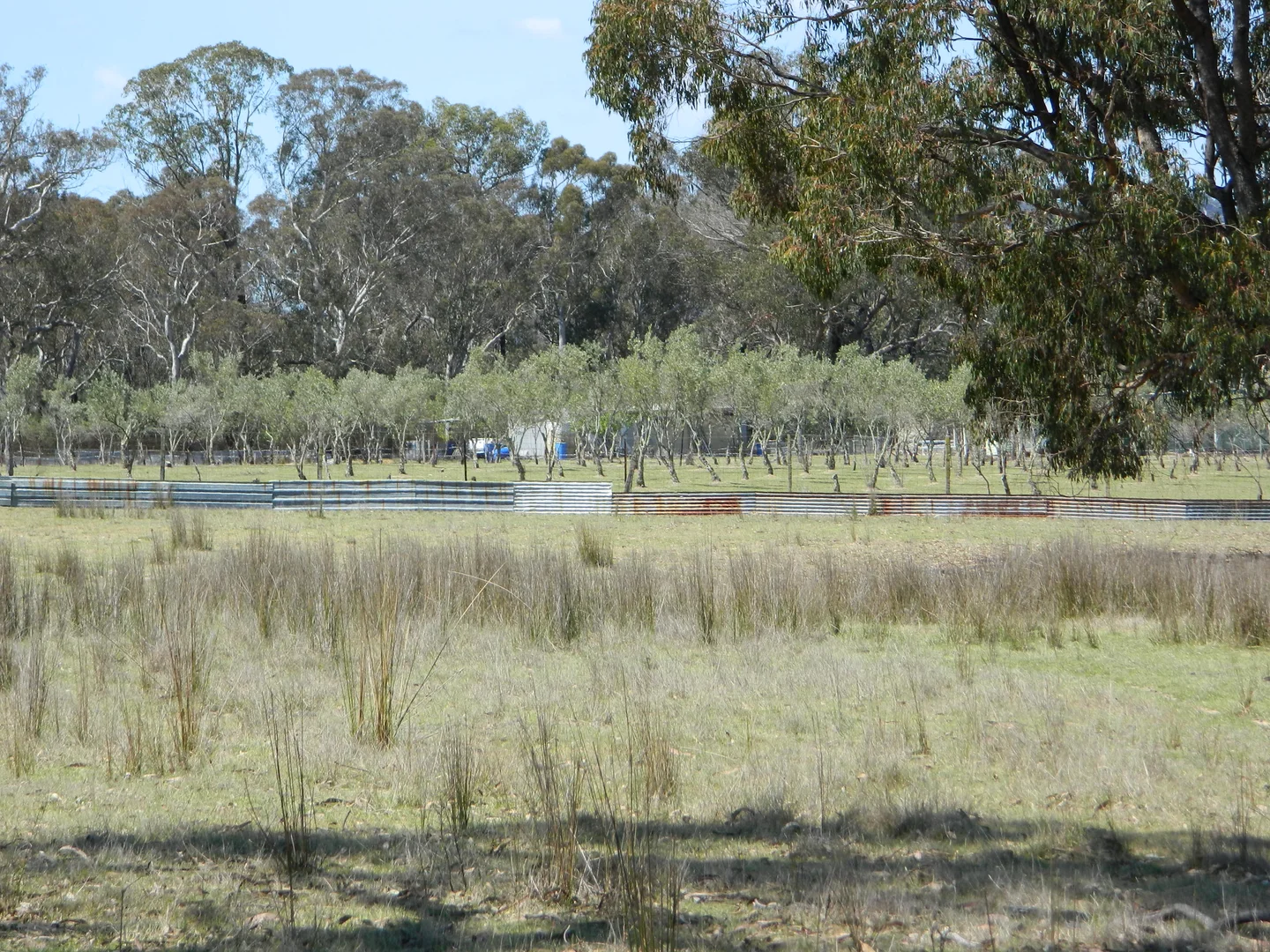 Additional image 23 of 485 Reedy Creek Road, Rylstone NSW 2849