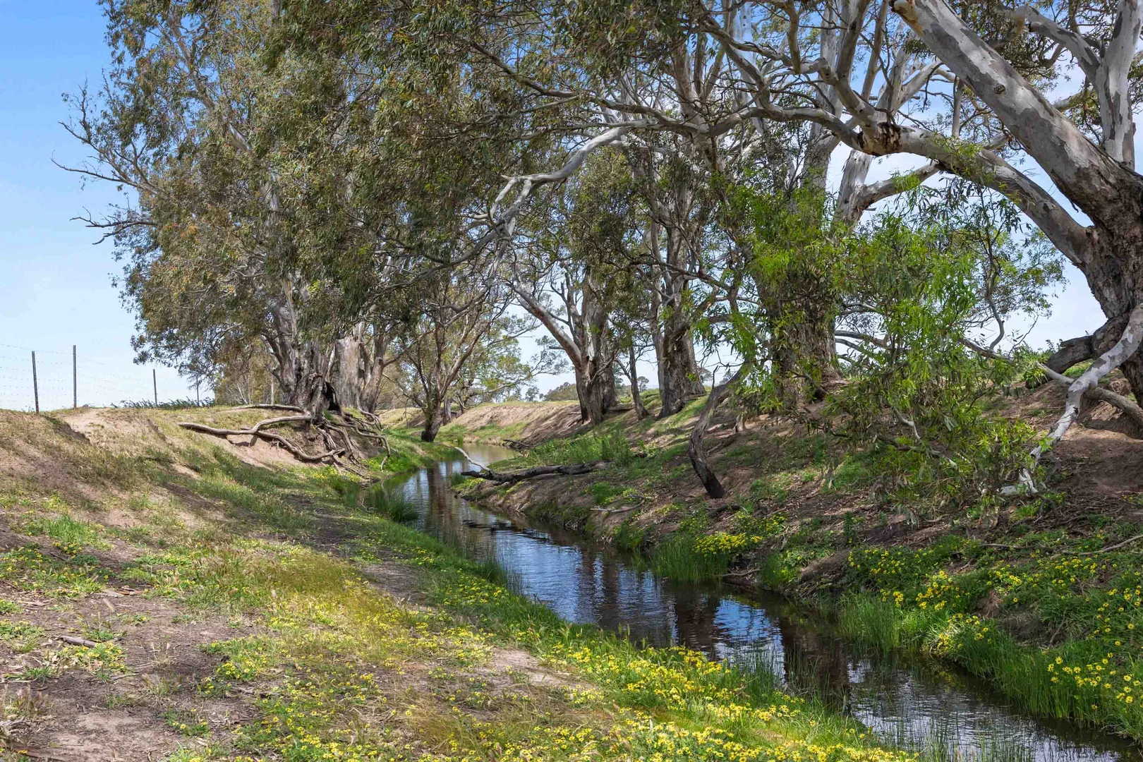 Additional image 8 of 46A & 46B Andrews Lane, Willaura North VIC 3379