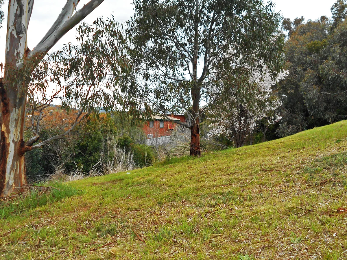 Additional image 22 of 33 Francis Ave, Gundagai NSW 2722