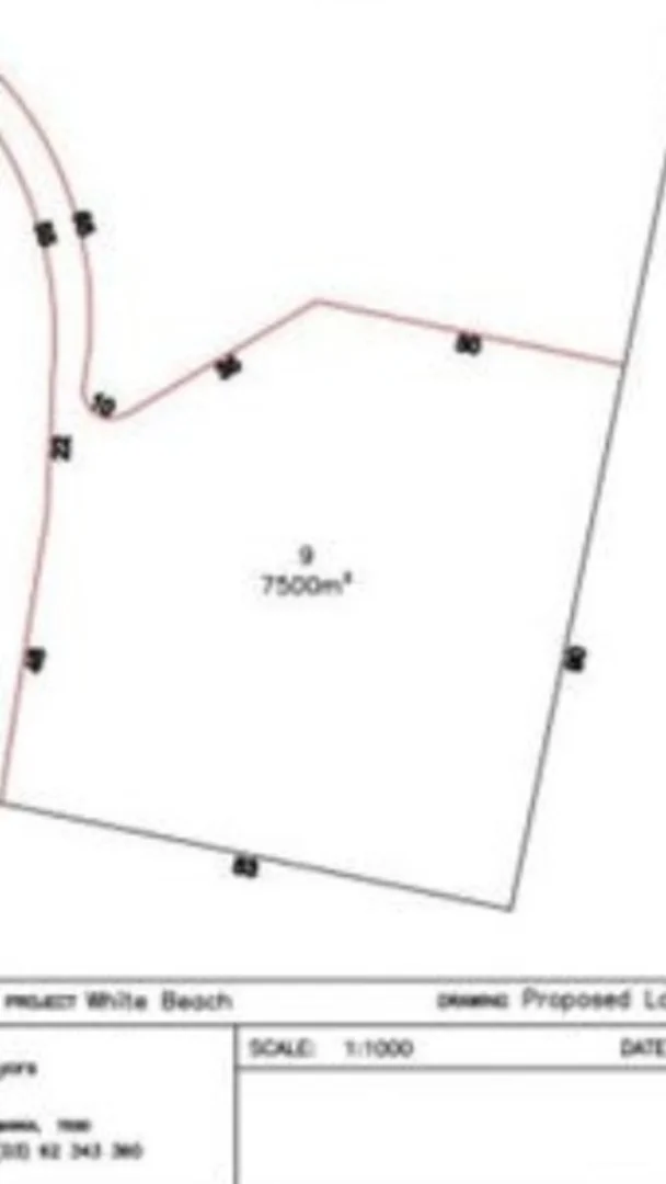 Additional image 13 of 153 White Beach Road, White Beach TAS 7184