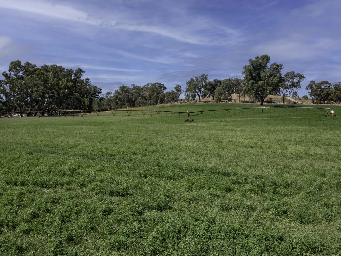 Additional image 28 of 2269 Snow Road, Markwood VIC 3678