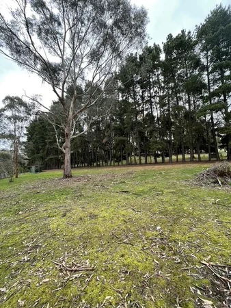 Additional image 3 of 41 Eleventh Avenue, Eden Park VIC 3757