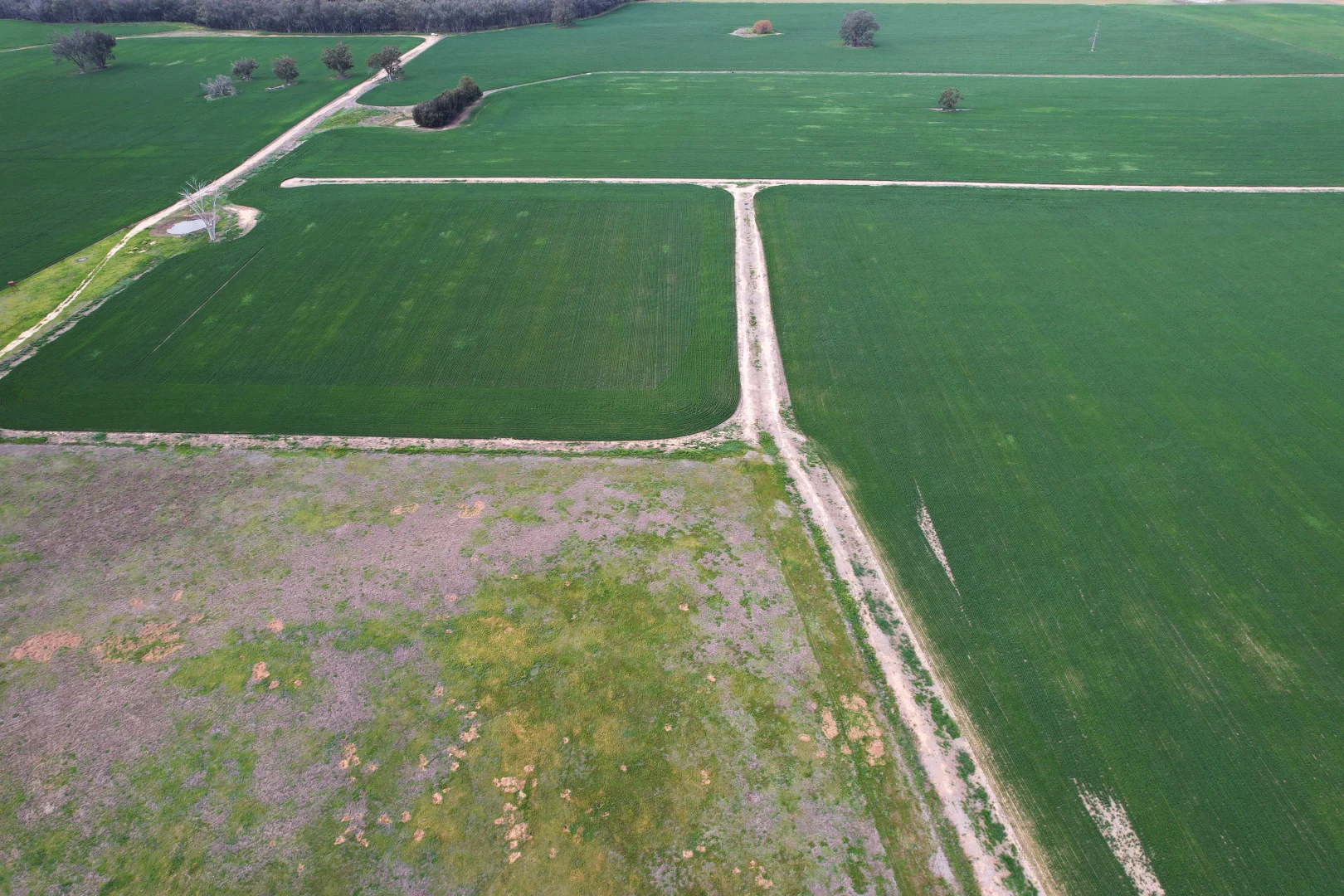 Additional image 3 of 2071 Yarrabandai Road, Bedgerabong NSW 2871