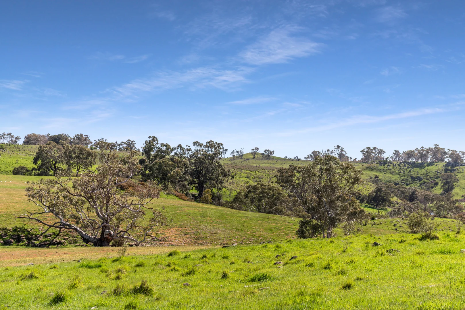 Additional image 28 of 2970 Northern Highway, High Camp VIC 3764