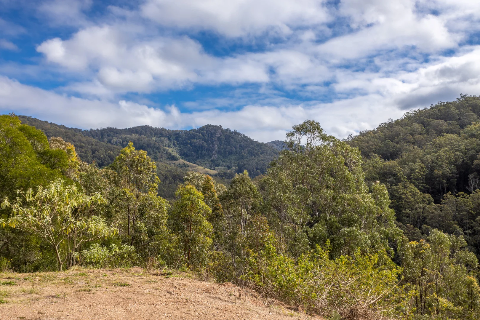 Additional image 8 of 791 Little Run Road, Wherrol Flat NSW 2429