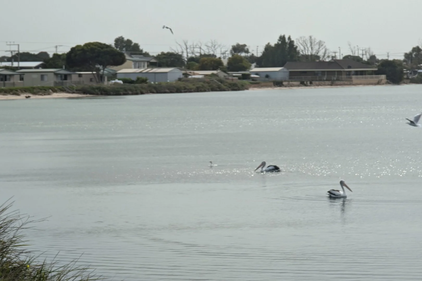 Additional image 31 of 35 Beach Road, Coobowie SA 5583