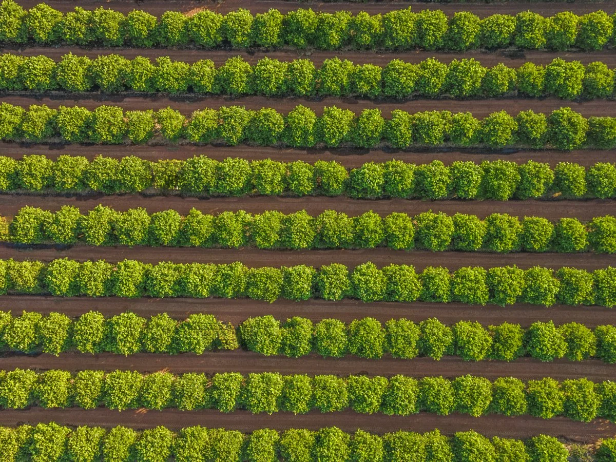 Additional image 9 of 72 Murray Road, Yoogali NSW 2680