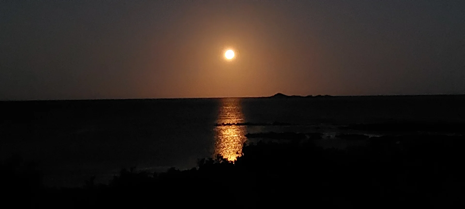 Additional image 20 of 101 Irby Boulevard, Sisters Beach TAS 7321