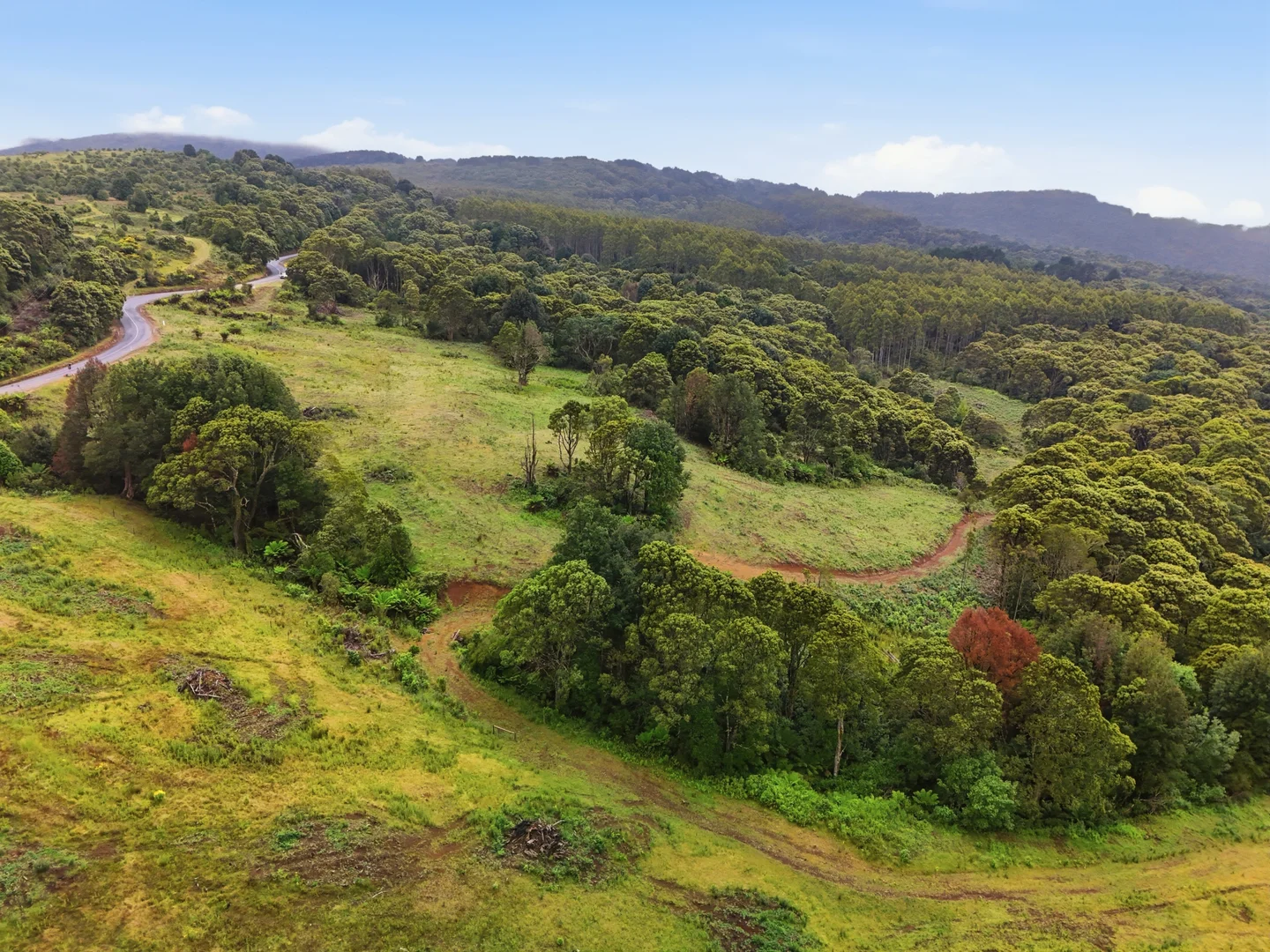 Additional image 16 of 28834 Tasman Highway, Weldborough TAS 7264