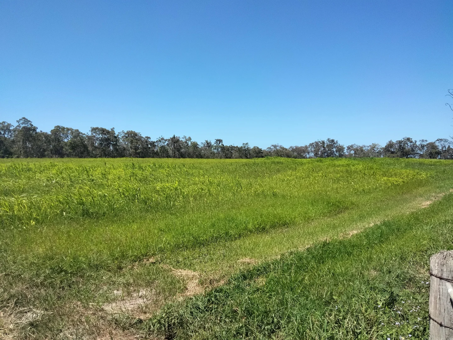 Additional image 15 of 2913 Rosedale Road, Yandaran QLD 4673