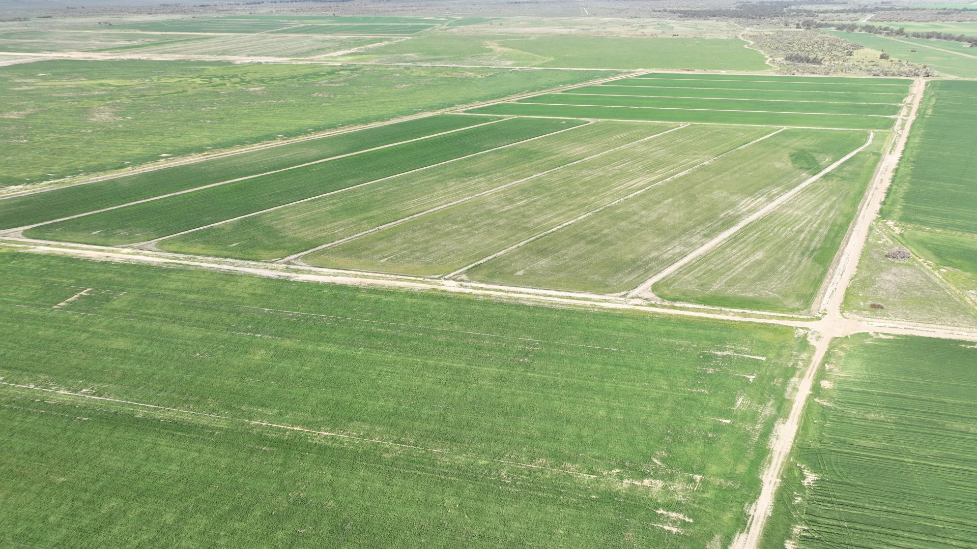 Additional image 19 of "North Devon" Dalys Road, Deniliquin NSW 2710