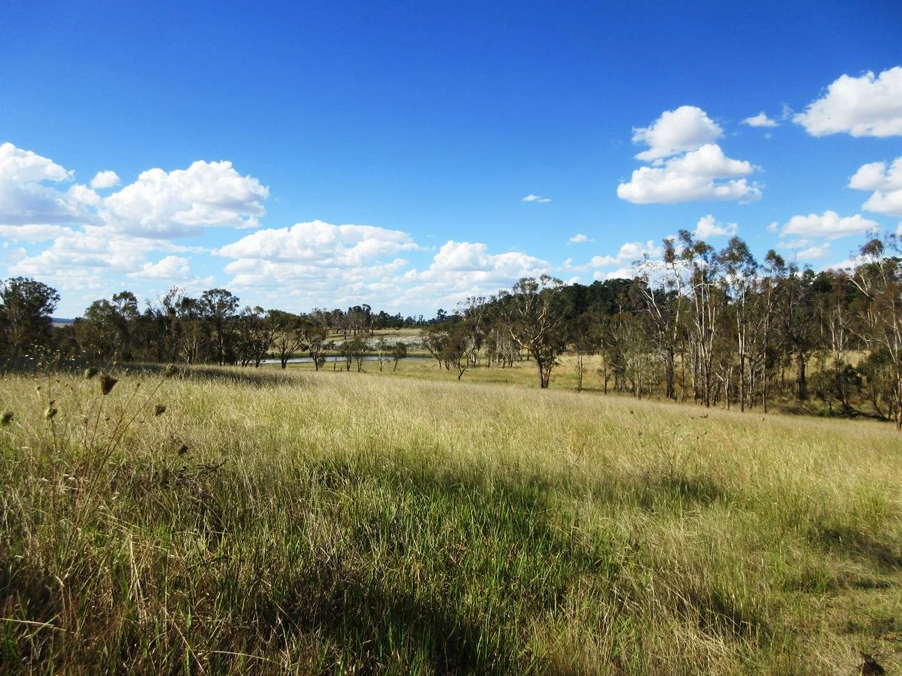 Additional image 22 of 42 Mabbotts Lane, Kentucky NSW 2354