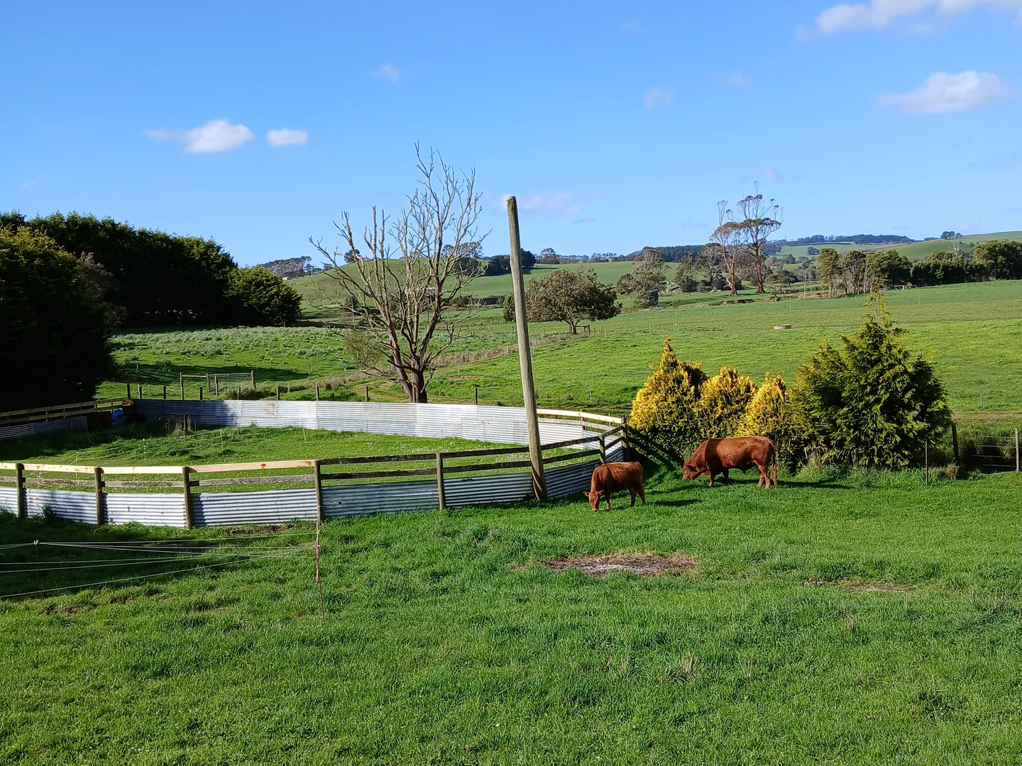 Additional image 8 of 74 Fosters Road, Wynyard TAS 7325