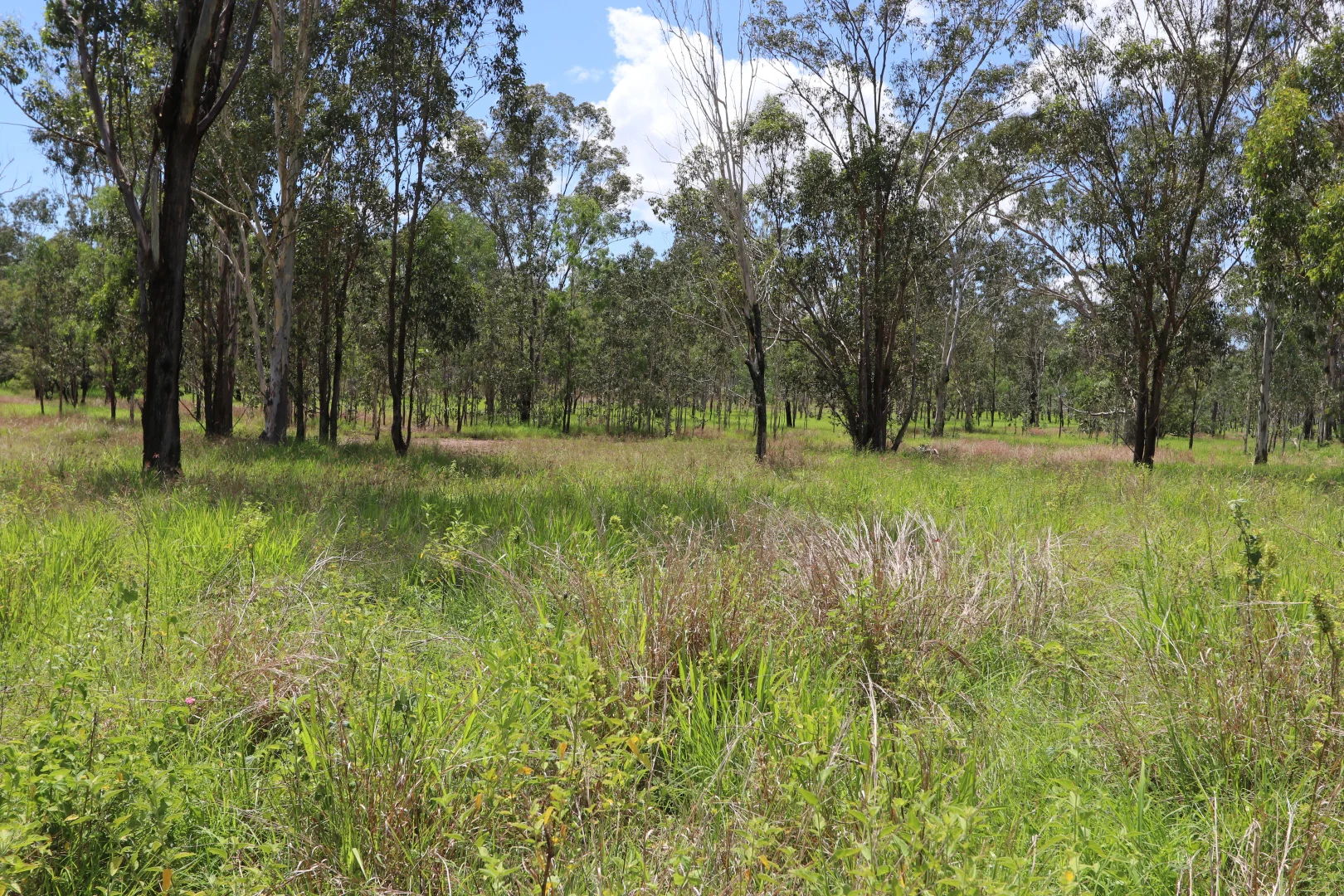 Additional image 16 of 330 Doonside Road, Jardine QLD 4702