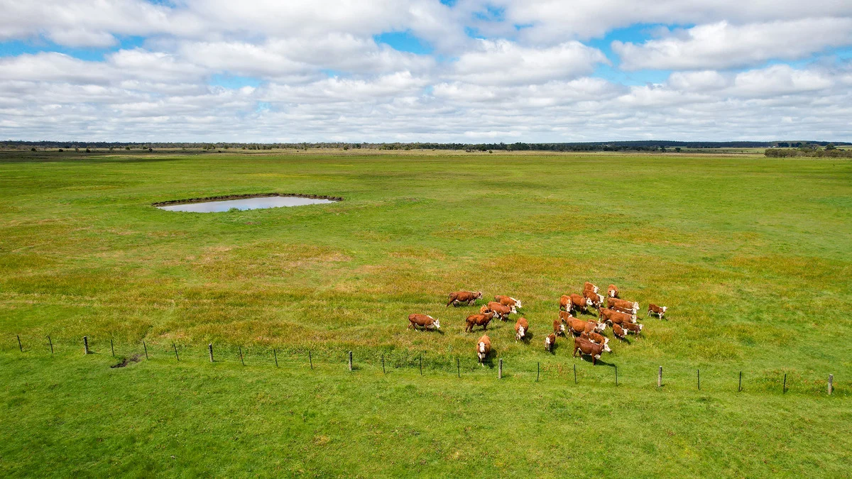 Additional image 12 of Brians Road, Breakaway Creek VIC 3303