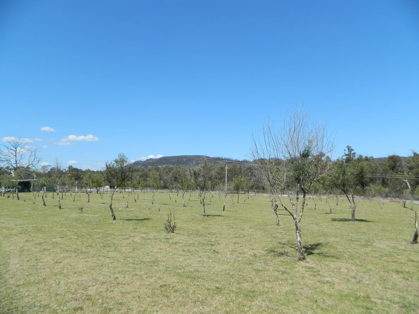 Additional image 24 of 485 Reedy Creek Road, Rylstone NSW 2849