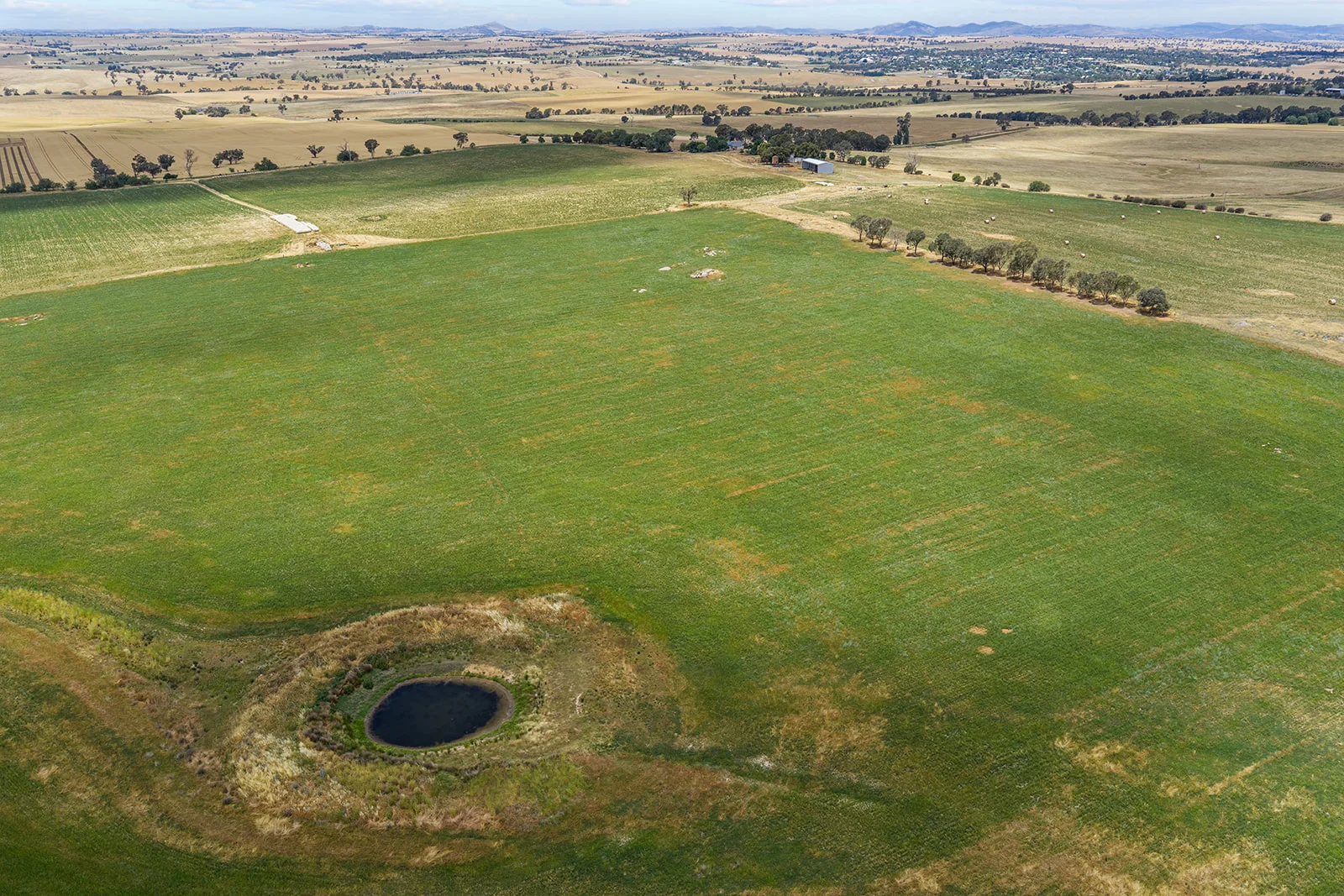 Additional image 21 of 215 Holman Road, Murrumburrah NSW 2587