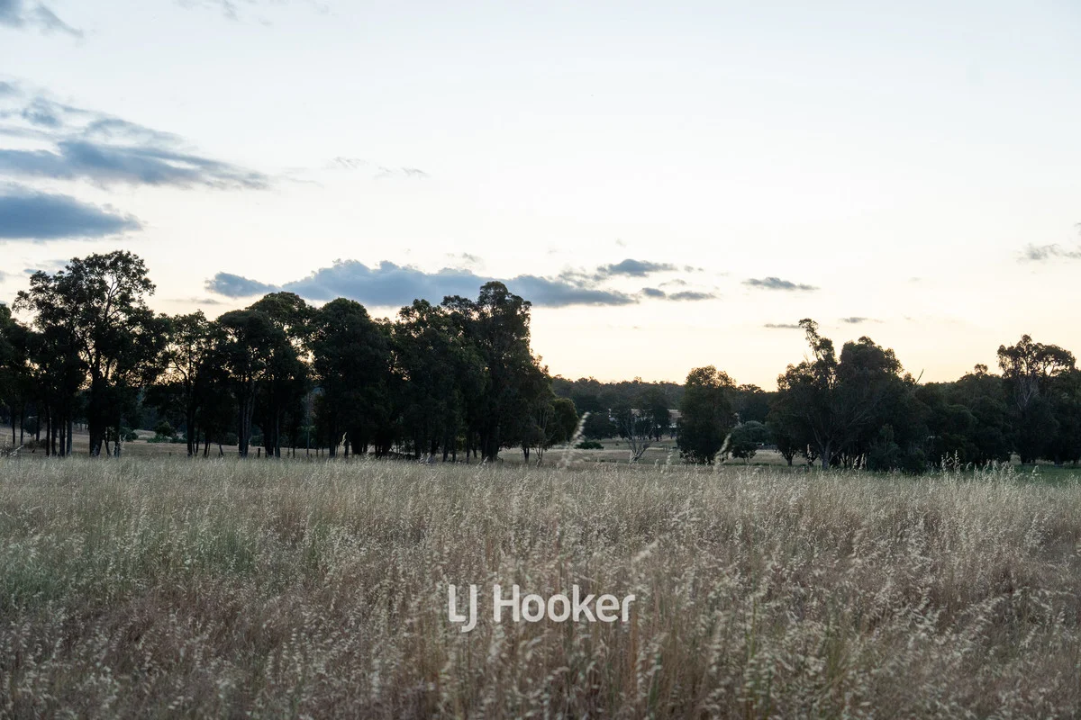 Additional image 14 of 23 Ealing Road, Preston Settlement WA 6225