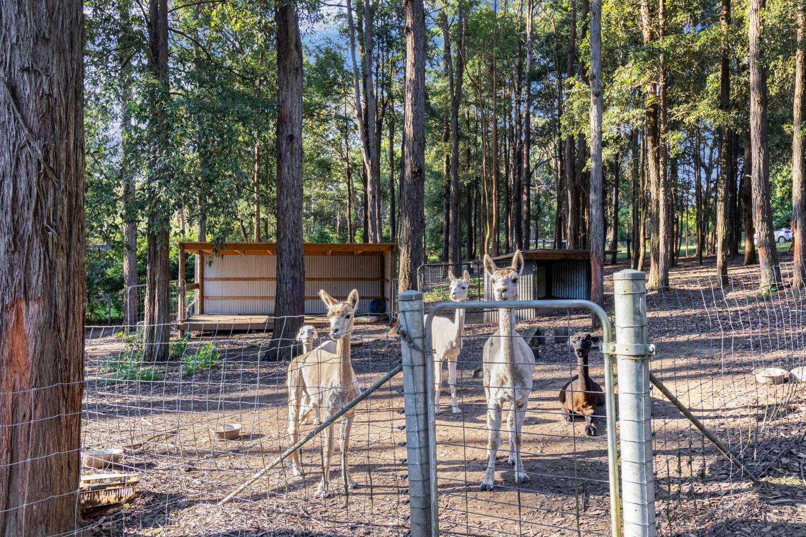 Additional image 26 of 1553 Bells Line of Road, Kurrajong Heights NSW 2758