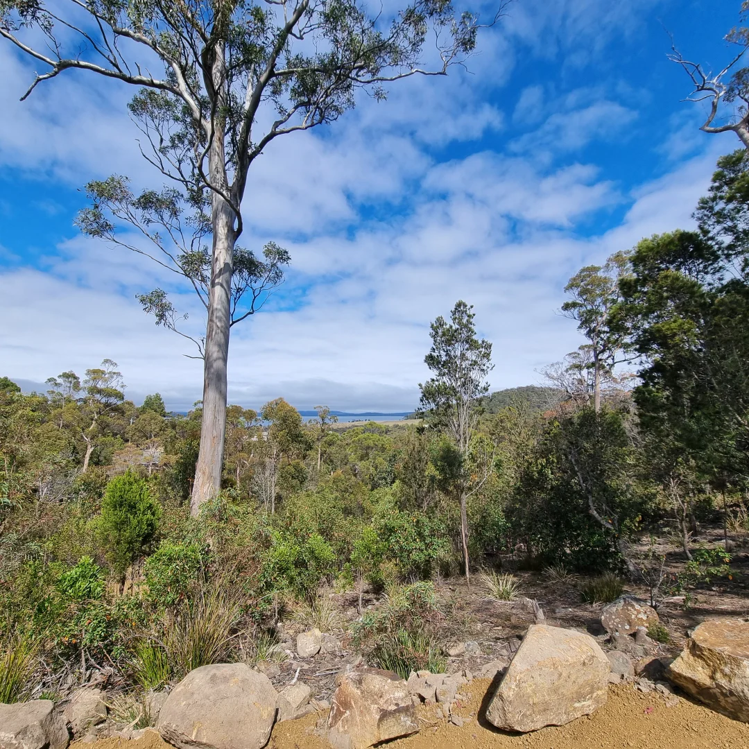 Additional image 8 of 39 Reef View Road, Murdunna TAS 7178
