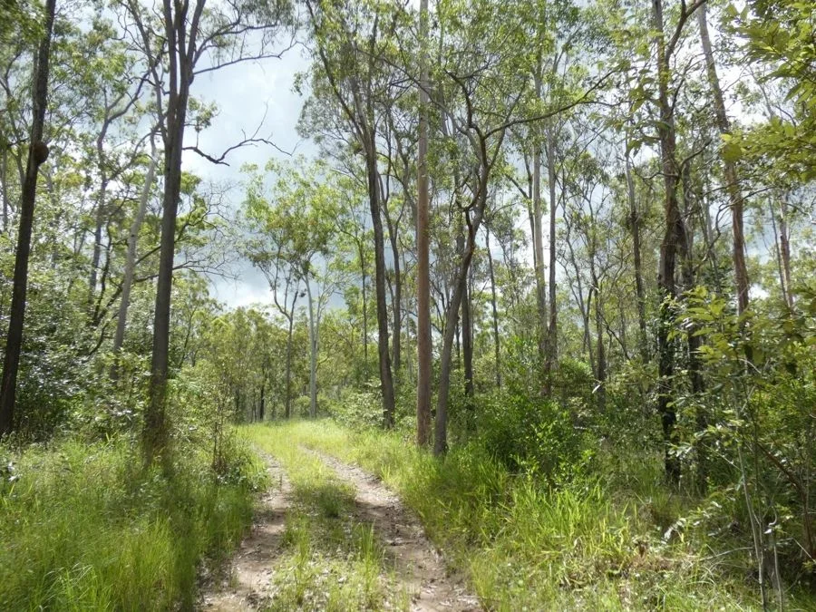 Additional image 12 of 397 Mollenhagens Road, Rosedale QLD 4674