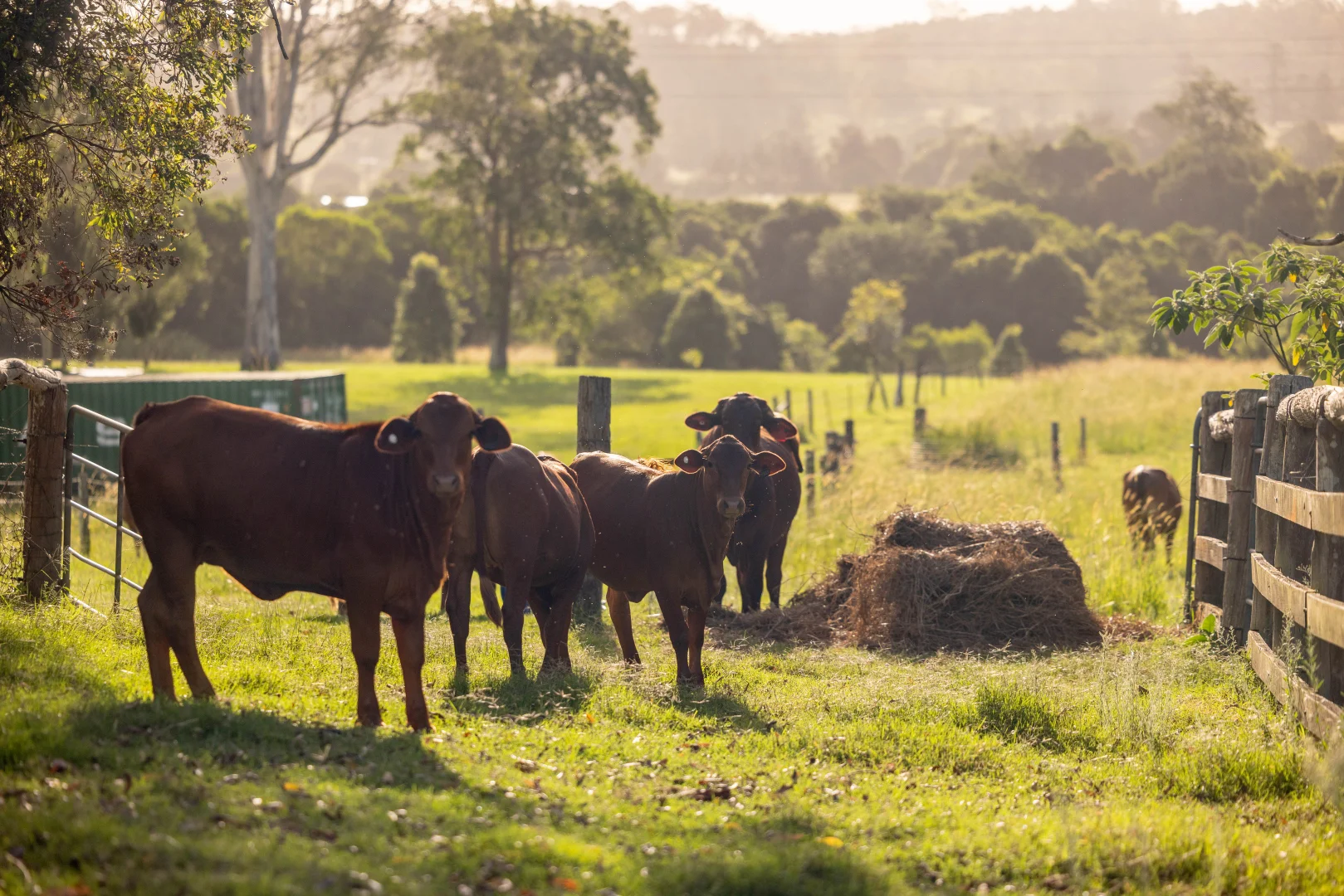 Additional image 20 of 60 Ironstone Creek Road, Tuchekoi QLD 4570