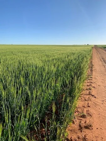 Additional image 7 of 2944 OTC Road, Wandana SA 5690