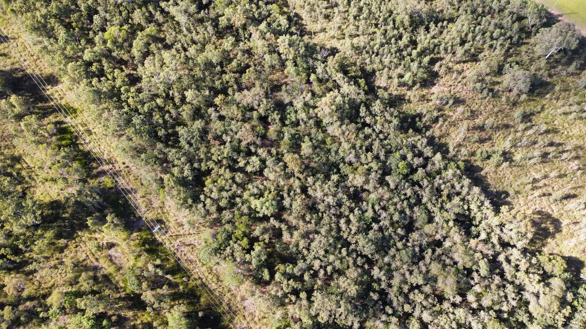 Additional image 9 of LOT 13 Midge Point Rd, Midge Point QLD 4799