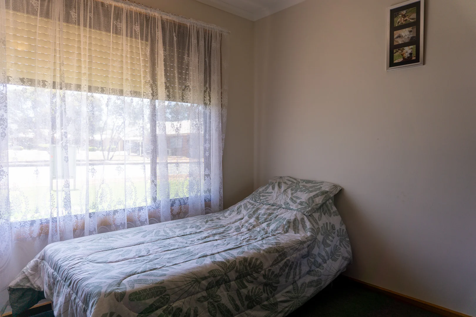 Additional image 16 of 1 Whyte Street, Cleve SA 5640