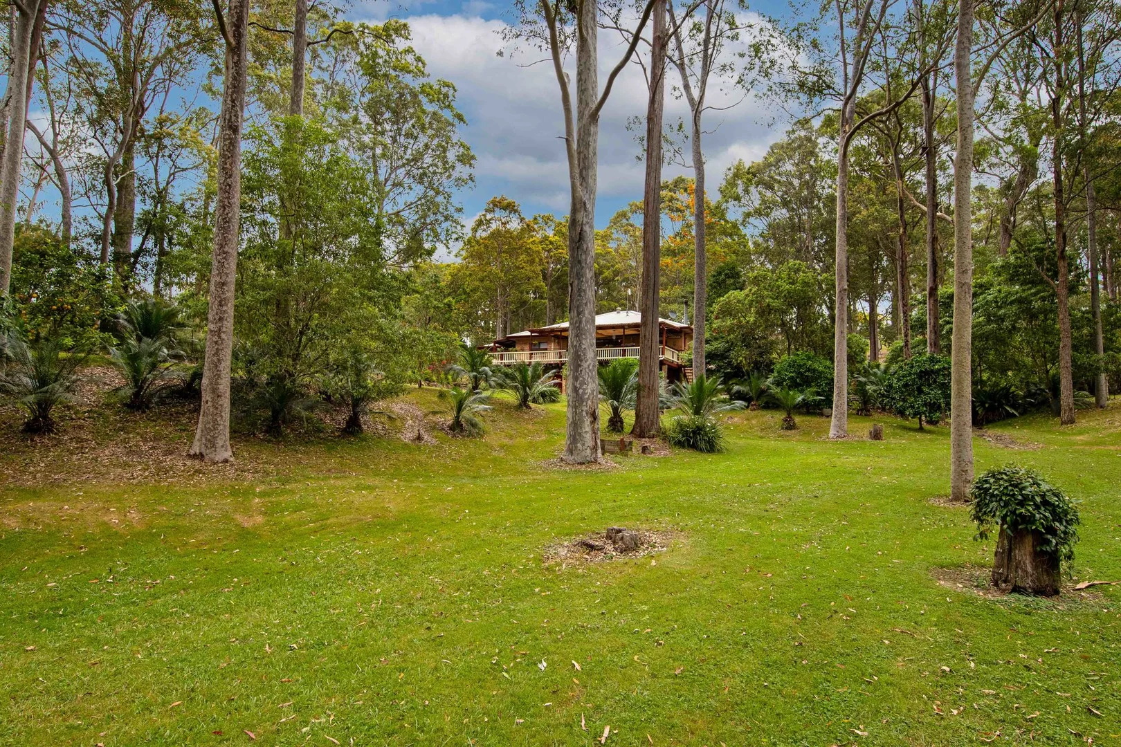 Additional image 29 of 28 Burri Palm Way, Surfside NSW 2536