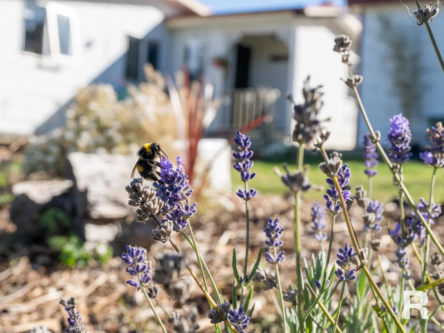 Additional image 23 of 8613 Lyell Highway, Ouse TAS 7140