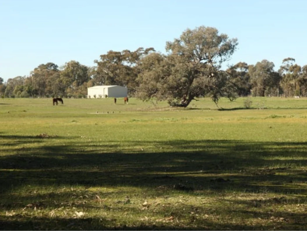 Additional image 4 of 73 Murray Street, Violet Town VIC 3669